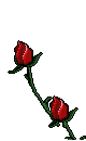 a_blumen10